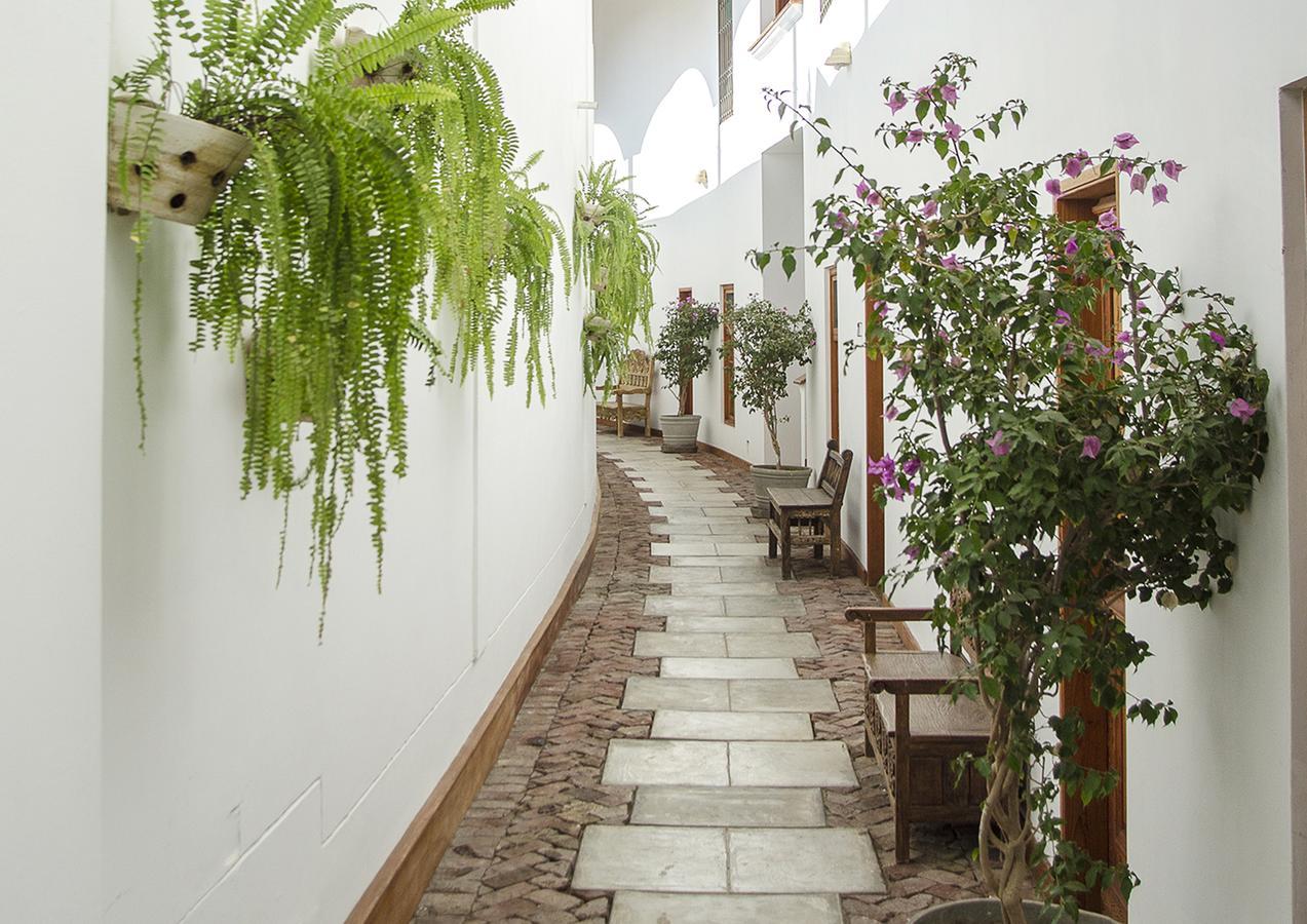 Vinas Queirolo San Juan Bautista
